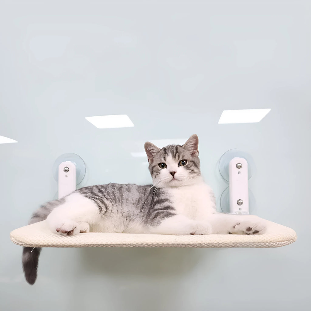 Stainless steel cat window hammock with suction cups in beige mesh fabric folded to show size