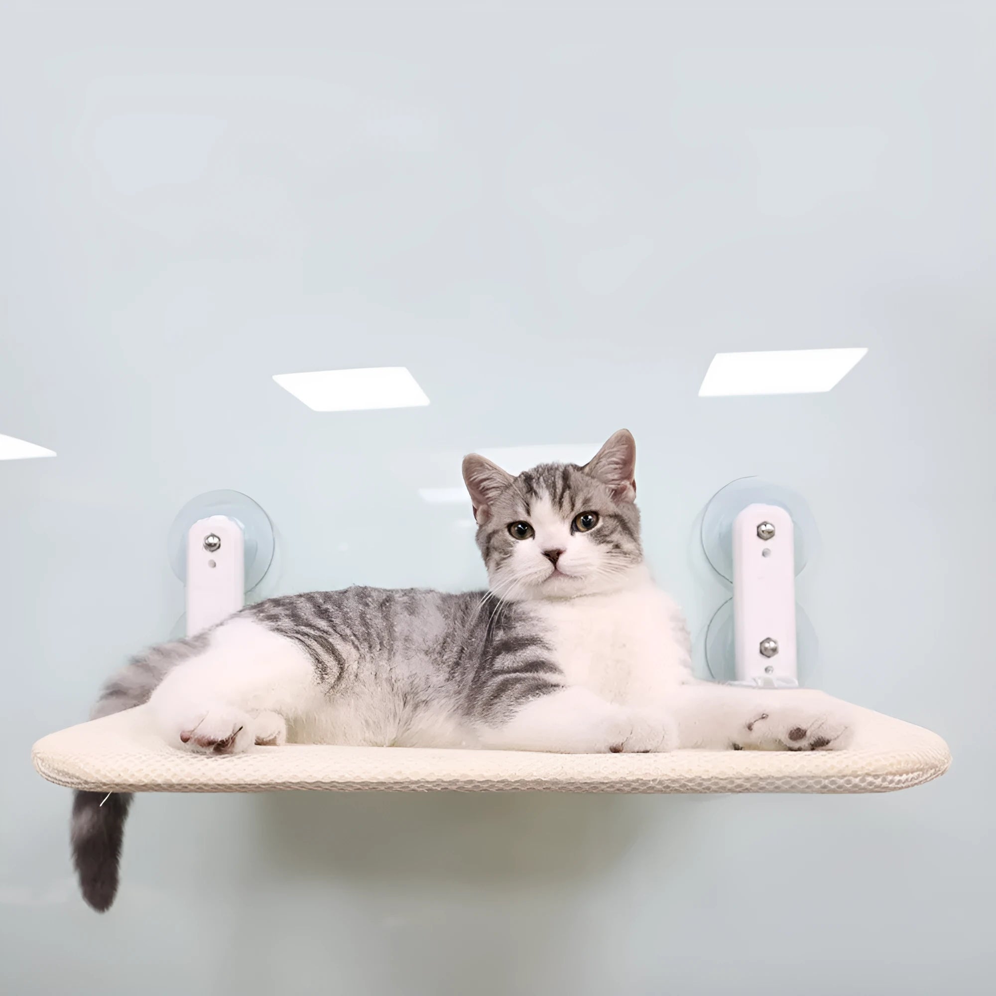Stainless steel cat window hammock with suction cups in beige mesh fabric folded to show size