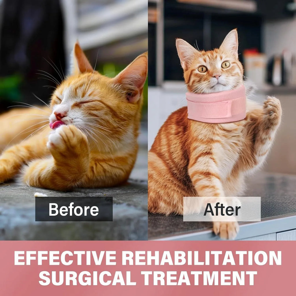 Soft grey cat cone collar neck brace for post-surgery recovery, shown next to a size chart.