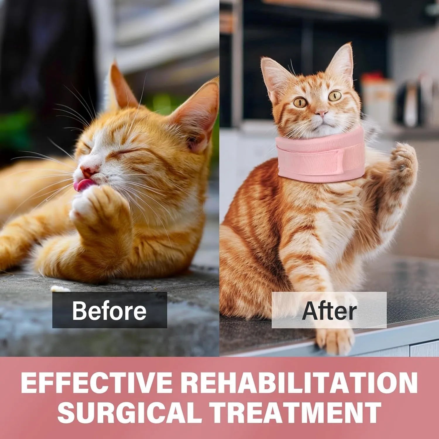 Soft grey cat cone collar neck brace for post-surgery recovery, shown next to a size chart.