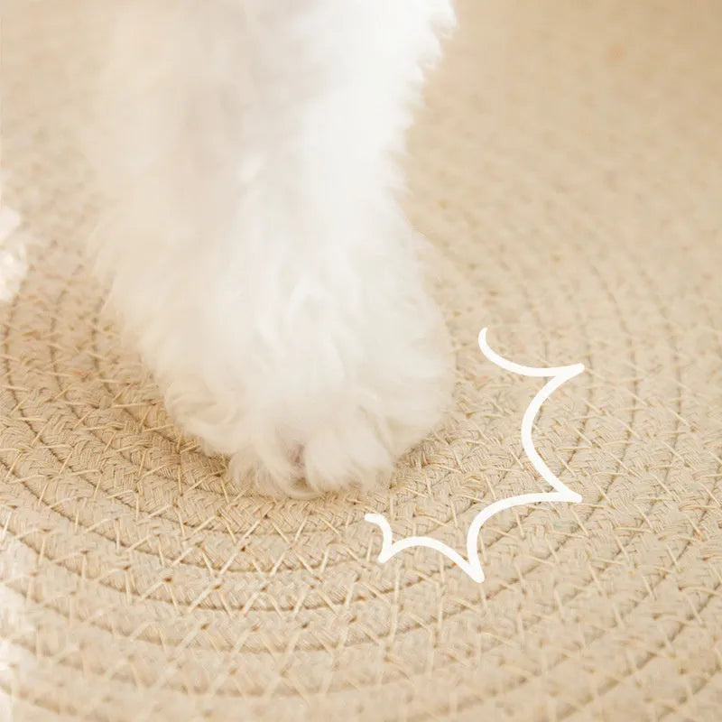 Green oval cat scratch pad bowl bed with sisal scratching surface