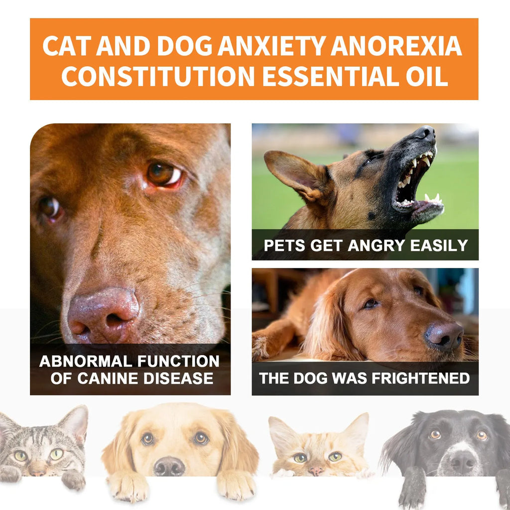 30ml bottle of hemp seed oil for cats and dogs, pet food mixing topper