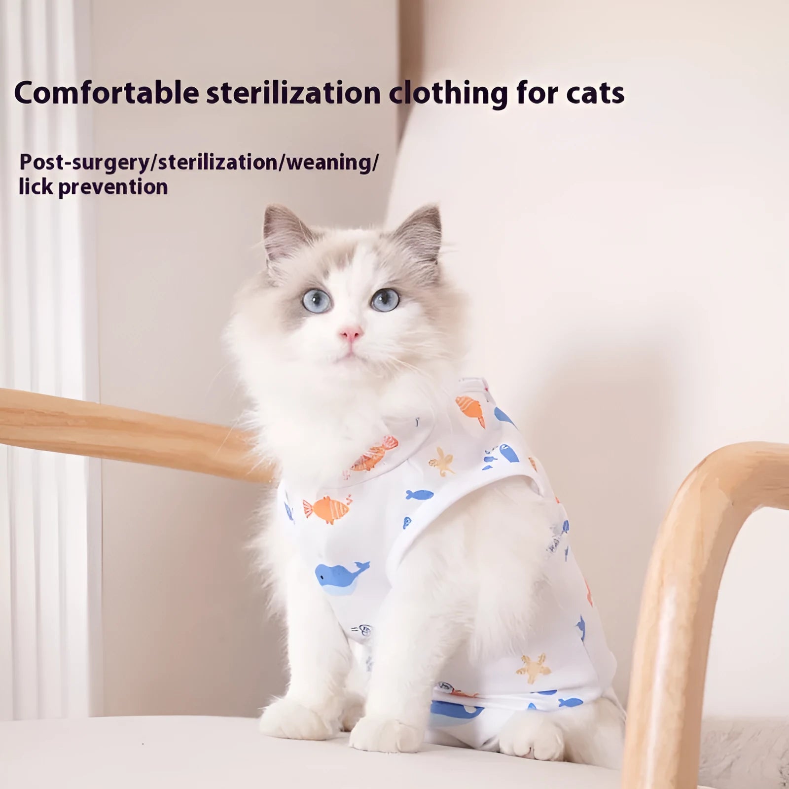 Cat wearing a patterned post-operative recovery suit with Velcro fastenings.