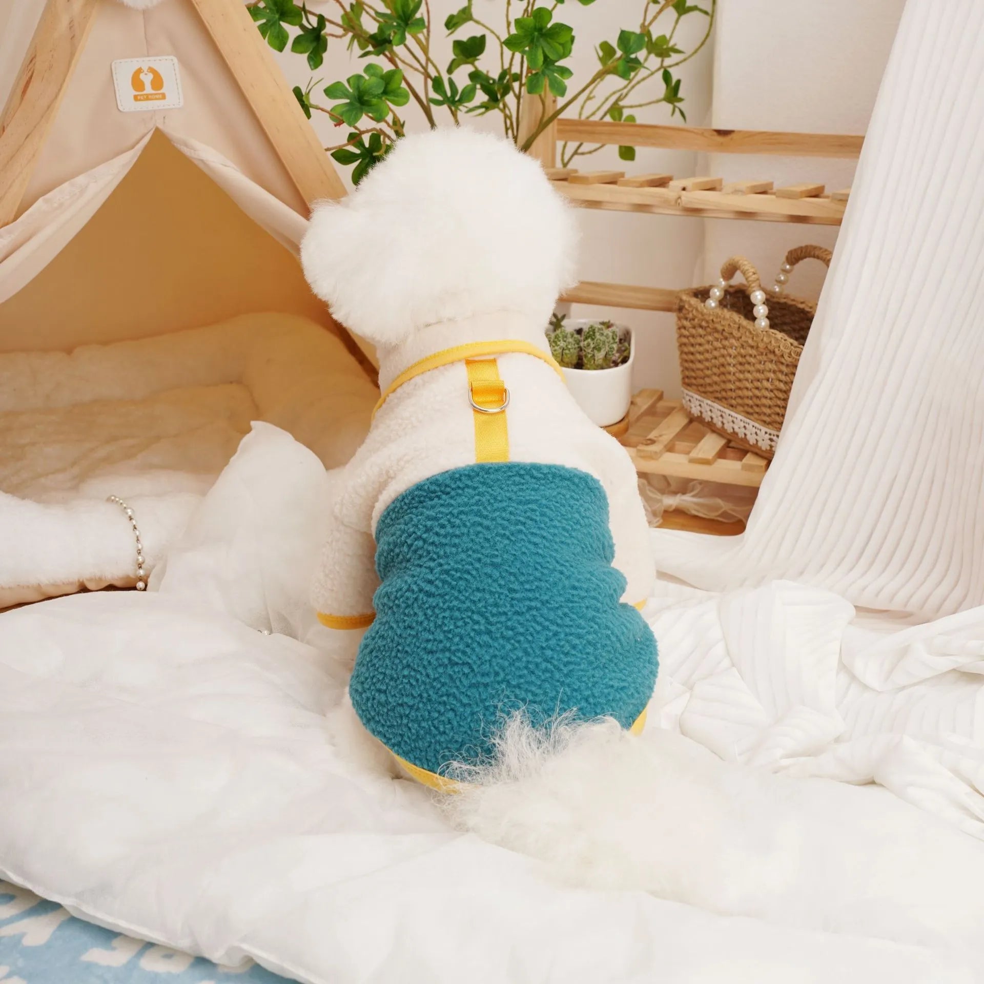 Lambswool fleece pet sweatshirt in caramel colour on a small dog.