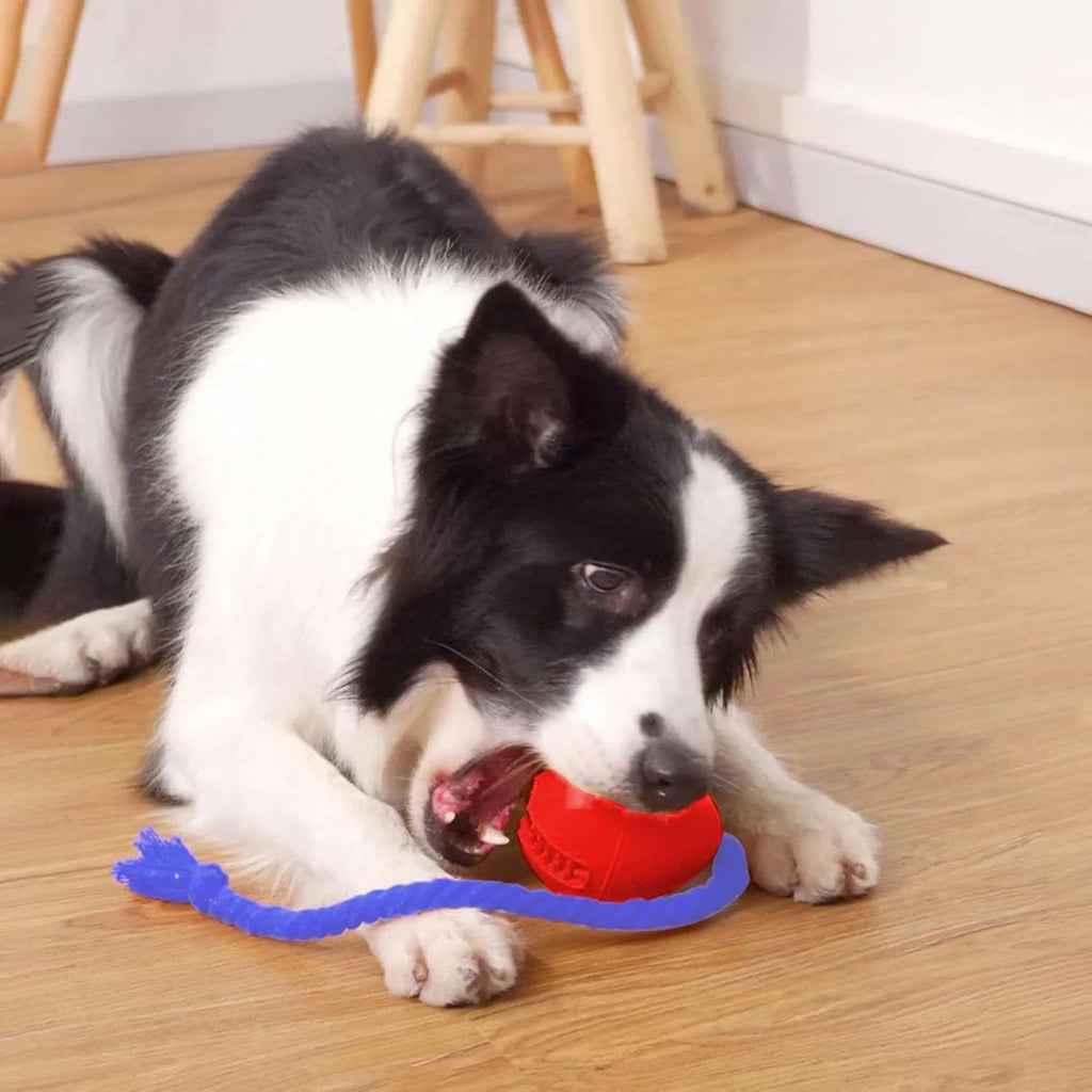 Orange interactive dog crate toy with rope made from natural rubber for crate training puppies