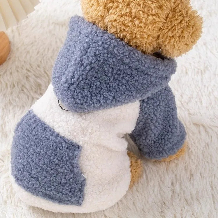 Brown thickened cotton-padded hooded coat on a dog showing hood up and belly fastening