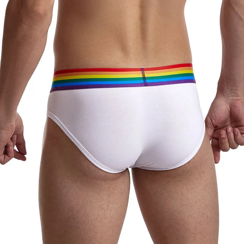 Men's low rise nylon briefs in solid colour black, breathable sheer underwear with transparent fabric