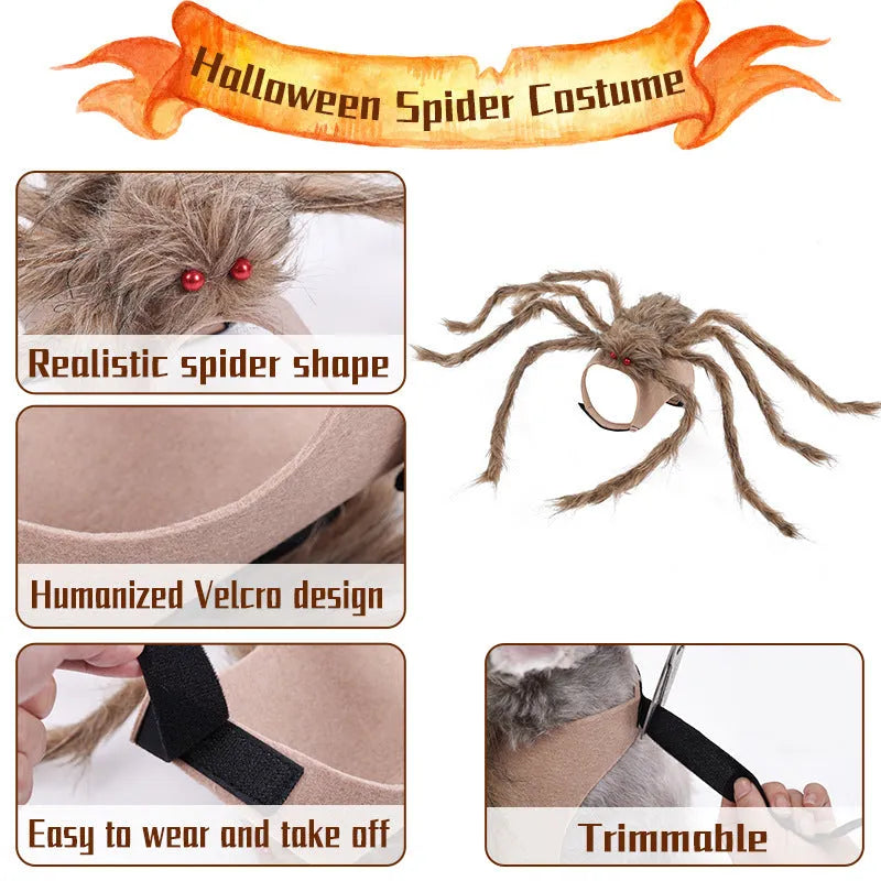 Grey polyester spider costume for a small dog on Halloween.