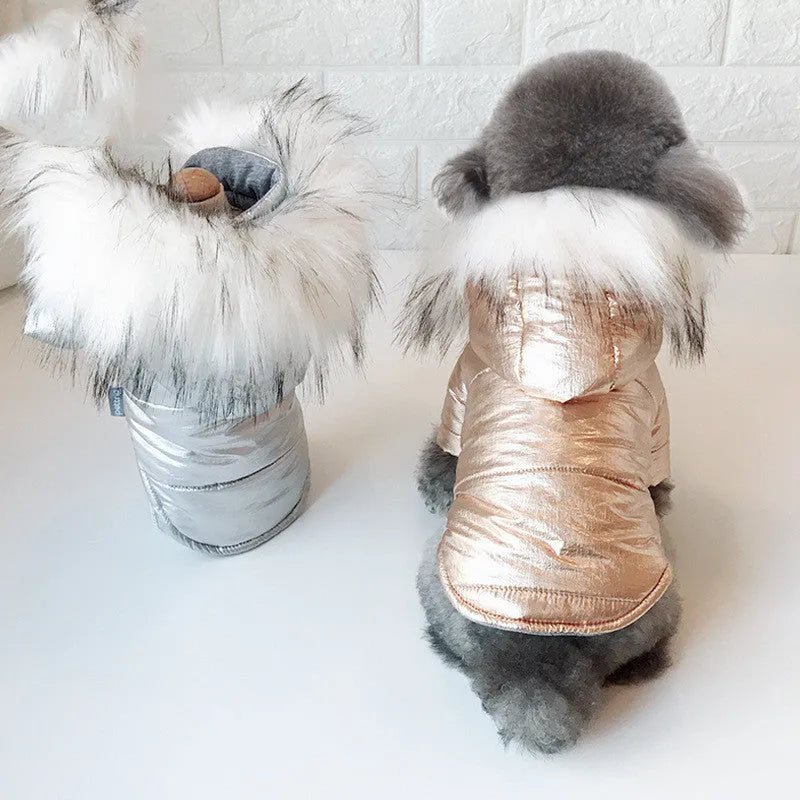 Gold padded cotton dog winter coat for small to large dogs sizes S to 3XL