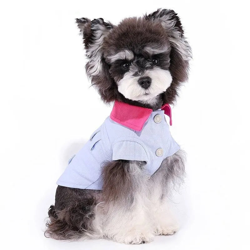 Blue and purple polyester dog vest with integrated traction rope ring for summer wear on small to medium dogs