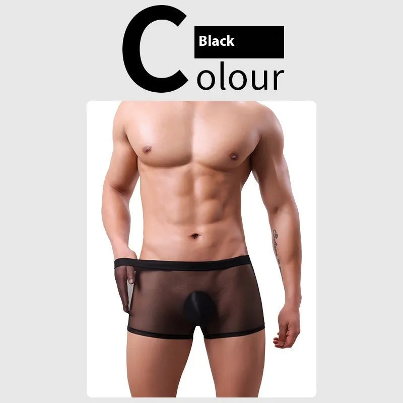 Men's low waist mesh boxer briefs in various colours on a white background.