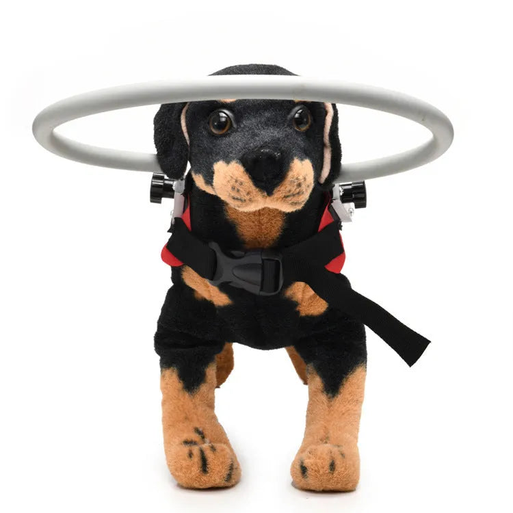 Blue anti-collision ring for blind dogs made of polyester, S size 22cm diameter, shown on a small dog