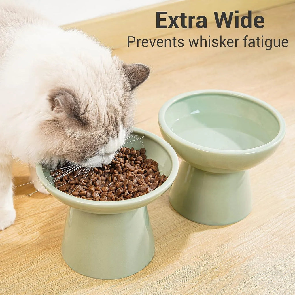 Ceramic elevated cat food bowl in blue colour with wide shallow design