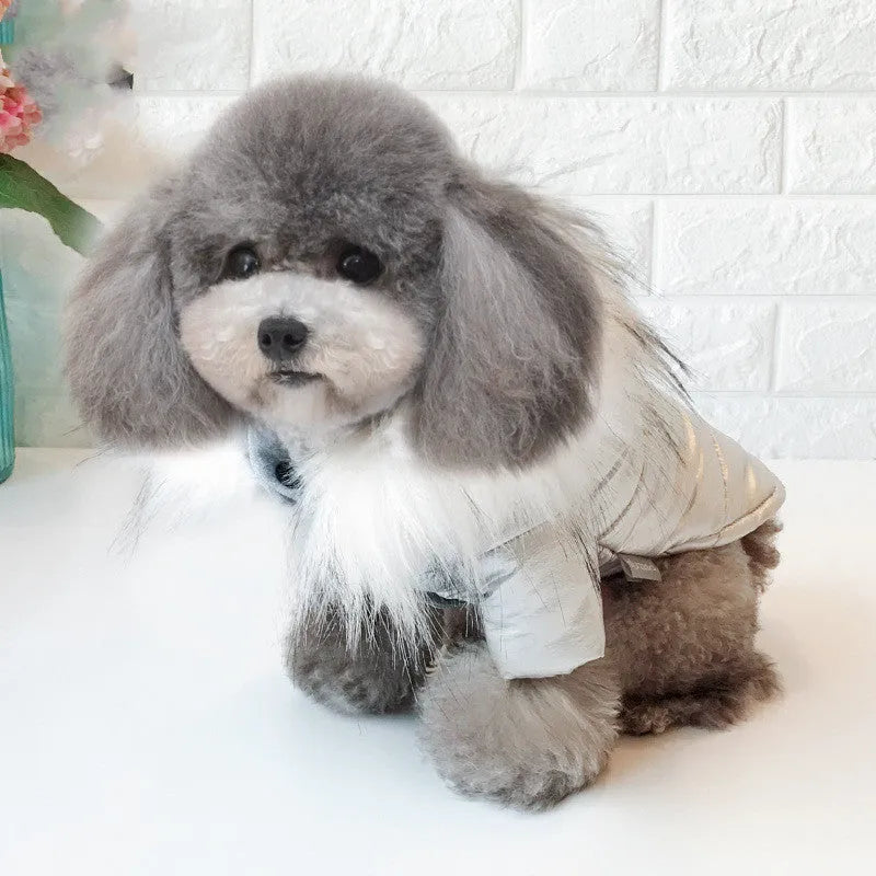 Gold padded cotton dog winter coat for small to large dogs sizes S to 3XL