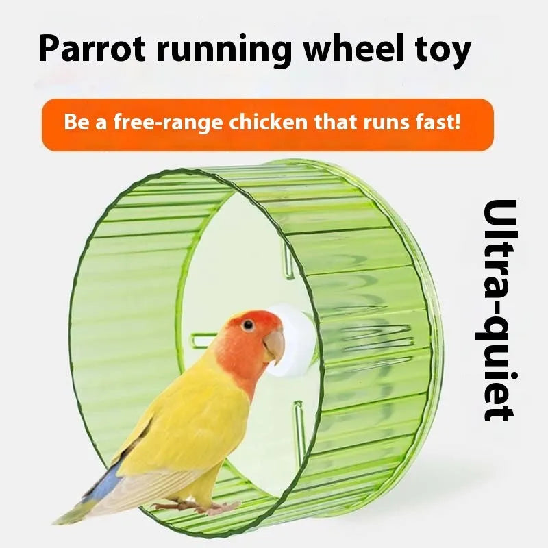 A plastic parrot running wheel toy for bird cages, shown in a transparent colour.