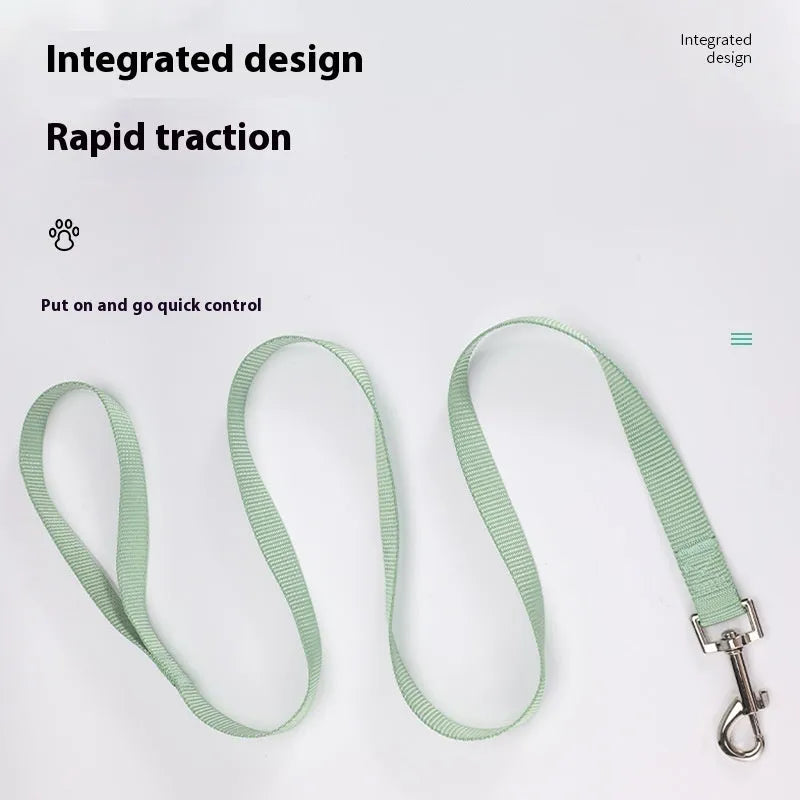Solid colour nylon dog lead shown in various colours with hand-holding rope design
