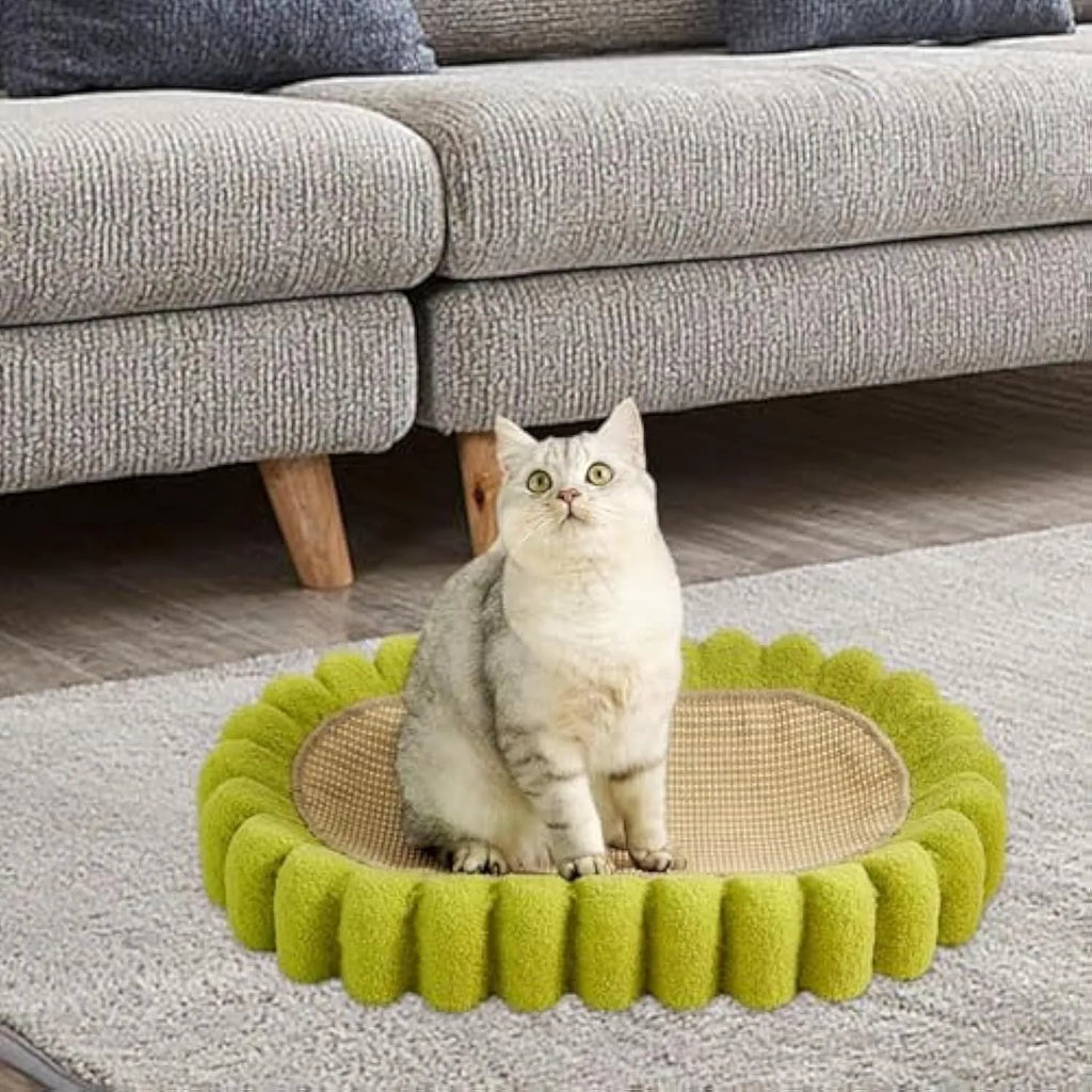 Green oval cat scratch pad bowl bed with sisal scratching surface