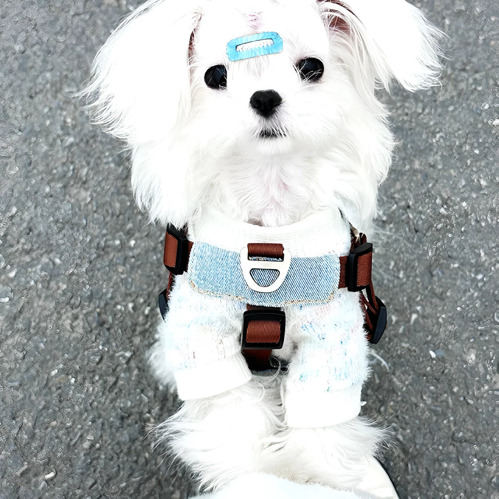 Brown vest style dog chest harness with traction rope for small and medium dogs, sizes L M S