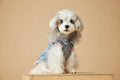 Denim sleeveless dog vest with distressed love design, casual style, available in multiple sizes from XS to XXL.