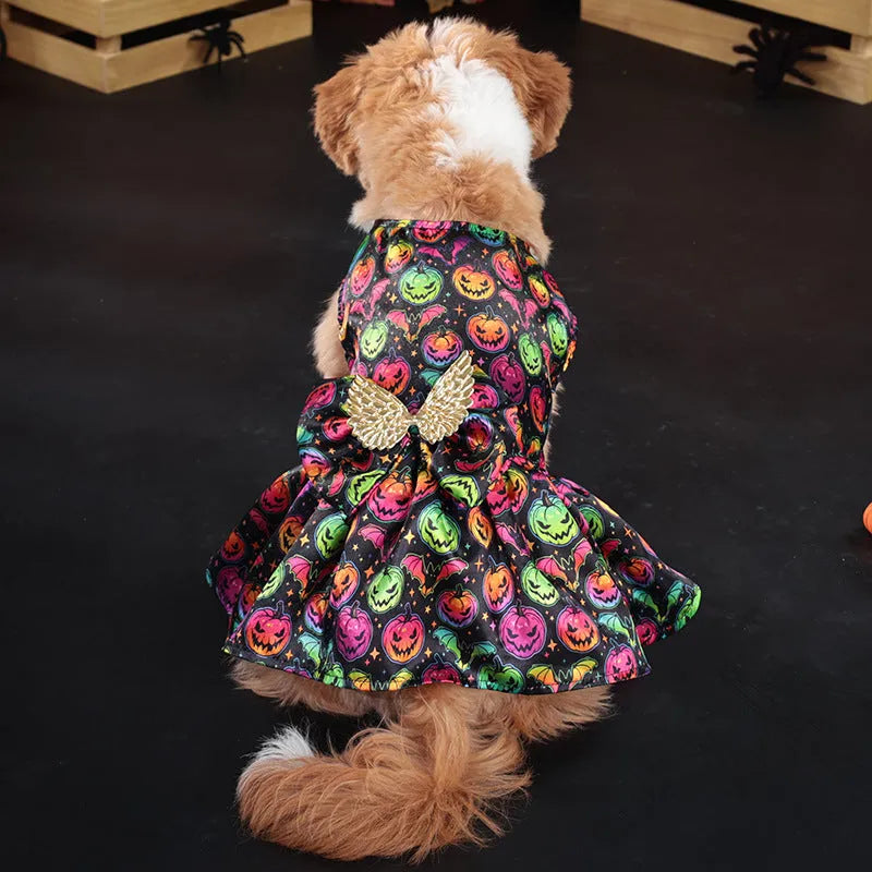 Halloween dog costume with angel wings design in bright pumpkin colour on a small dog.