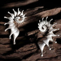 Three-dimensional matte conch shell stud earrings with electroplated alloy construction and irregular shape