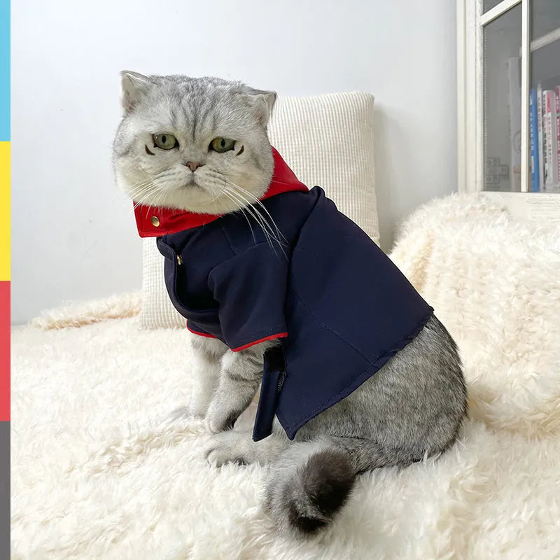 A Tiger Staff Yuren coloured hoodie for a small dog or cat, worn as a photo prop costume.