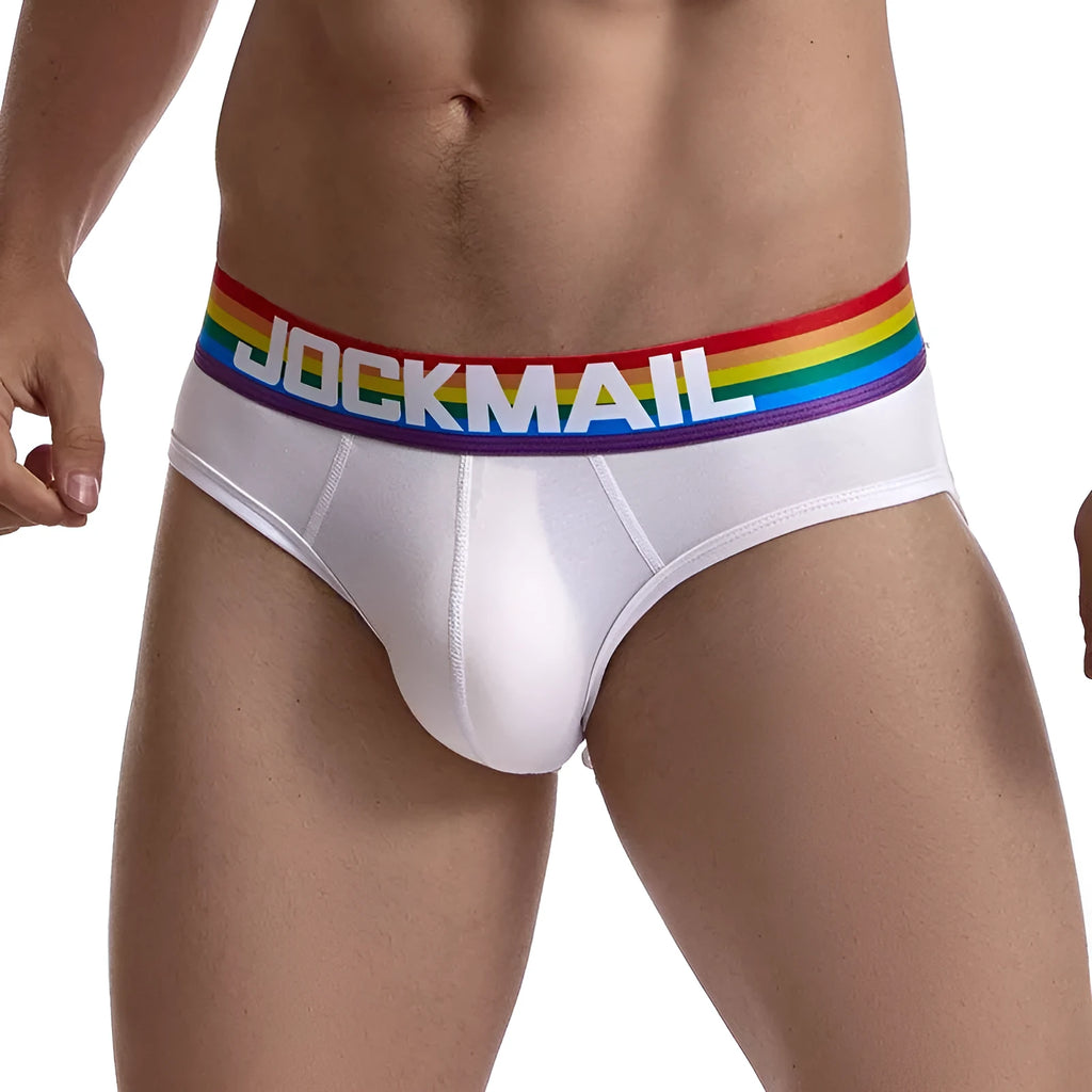 Men's low rise nylon briefs in solid colour black, breathable sheer underwear with transparent fabric