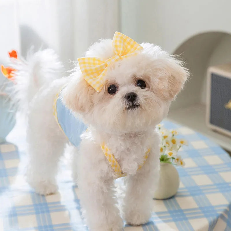 Small dog wearing a blue vest with a heart relief texture and white bow suspenders.