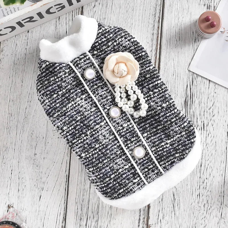 Black or purple PU jacket for small to medium sized cats and sausage dogs