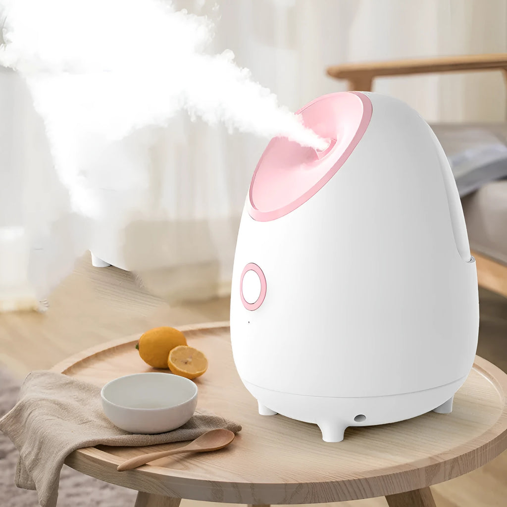White household facial steamer with hot spray function and polished plastic shell