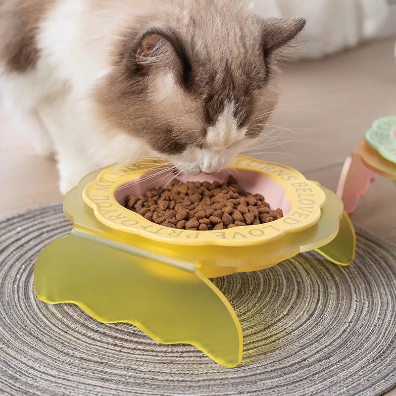 Ceramic cat bowl with acrylic lace detail and anti-tumble neck in pink and blue colour options