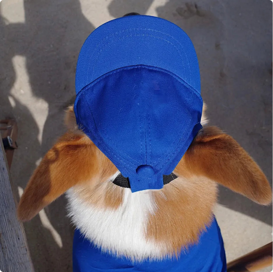 Adjustable cotton pet baseball cap with exposed ears, shown in apricot, blue, milk blue, purple or black