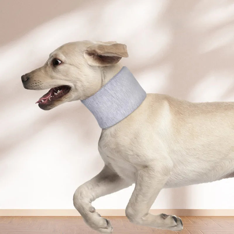 Soft grey cat cone collar neck brace for post-surgery recovery, shown next to a size chart.