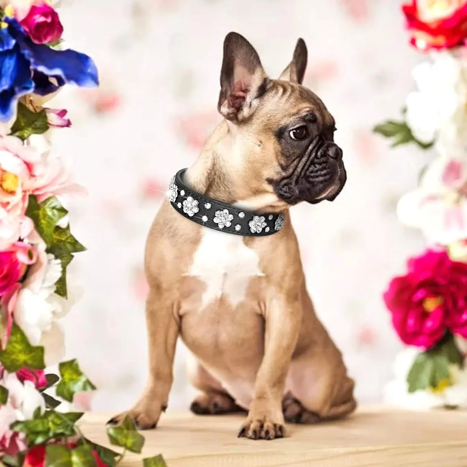 Rhinestone flower studded dog collar in PU leather for small medium dogs