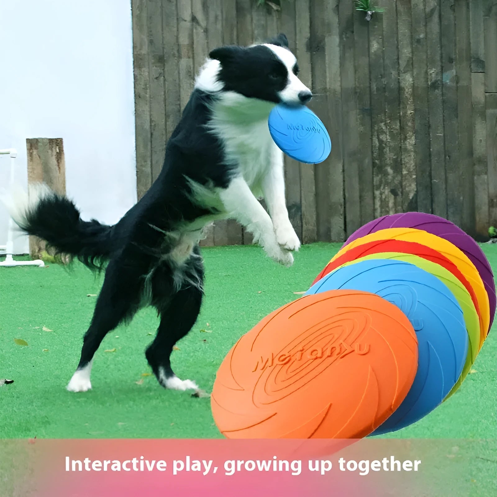 Soft rubber dog frisbee flying disc toy in red, blue, and green colour options showing small, medium, and large sizes