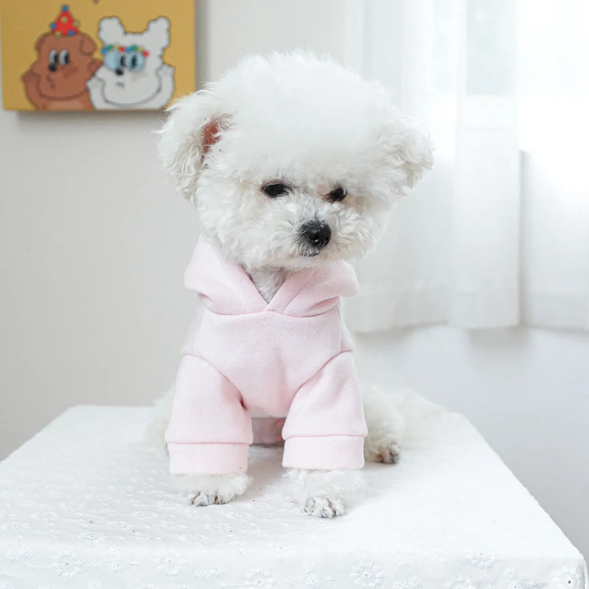 Hooded Little Princess pet sweater in polyester, sizes XS to XL with chest 30-54cm and length 20-40cm