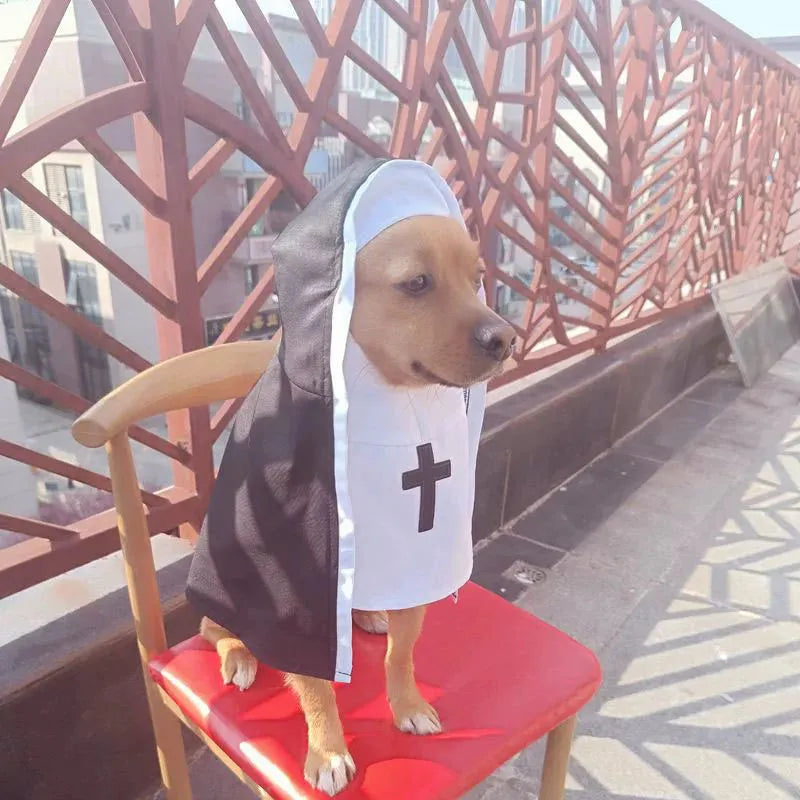 Black and white nun costume for small to medium dogs with pullover design