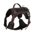 Orange reflective dog harness with padded chest strap and matching black rope lead laid flat.
