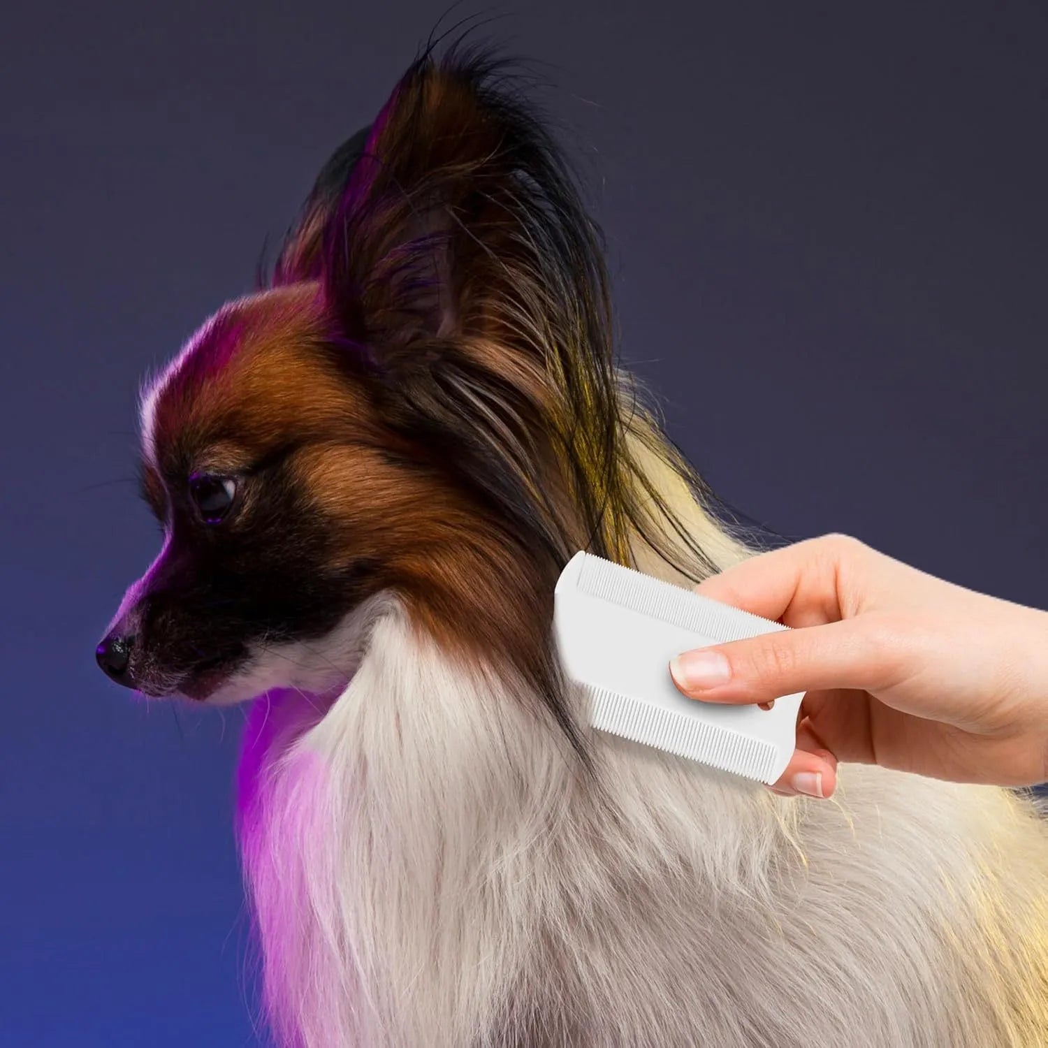 Double-sided plastic pet flea comb showing dense tooth row and grate mouth design for dog and cat grooming