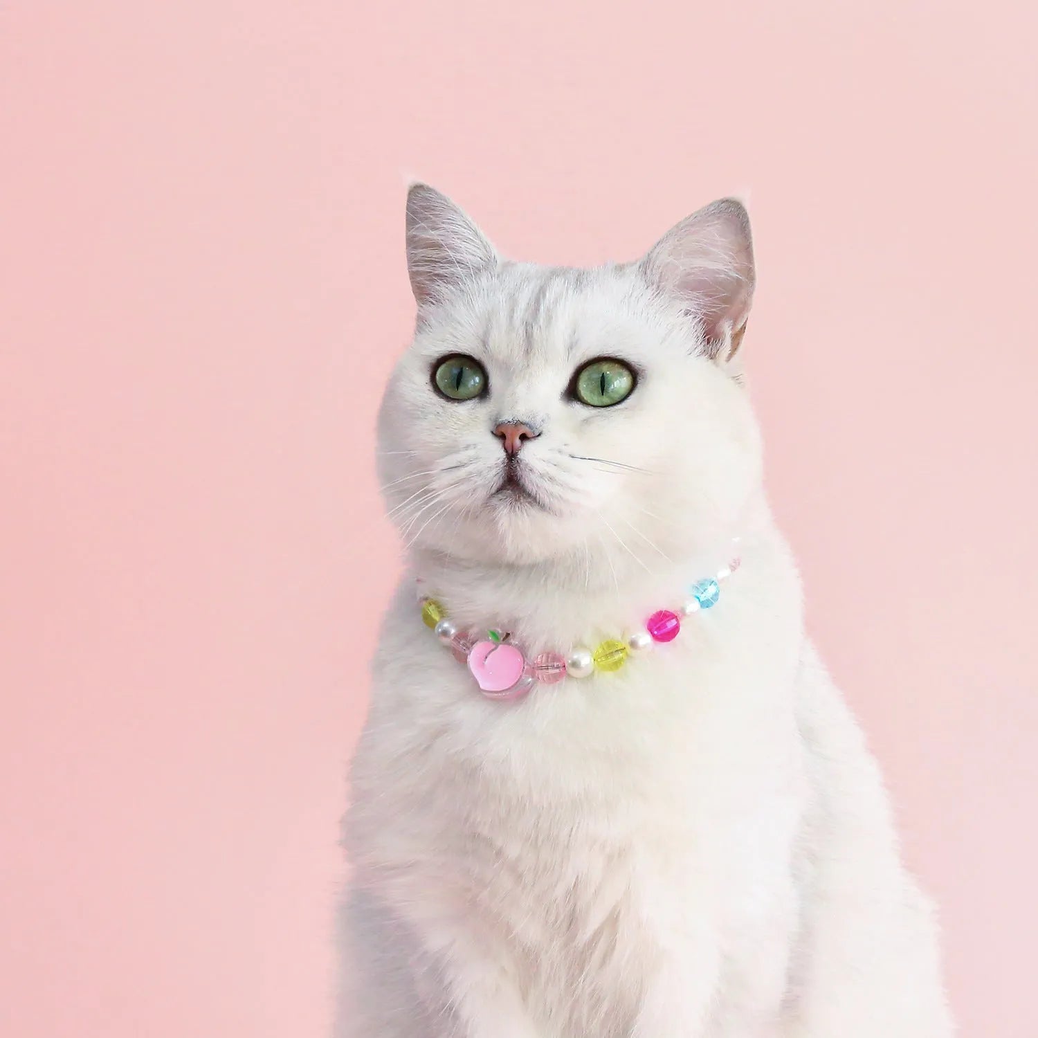 Colourful plastic bead pet necklace for small cats and dogs in peach, rainbow, and small flower designs.
