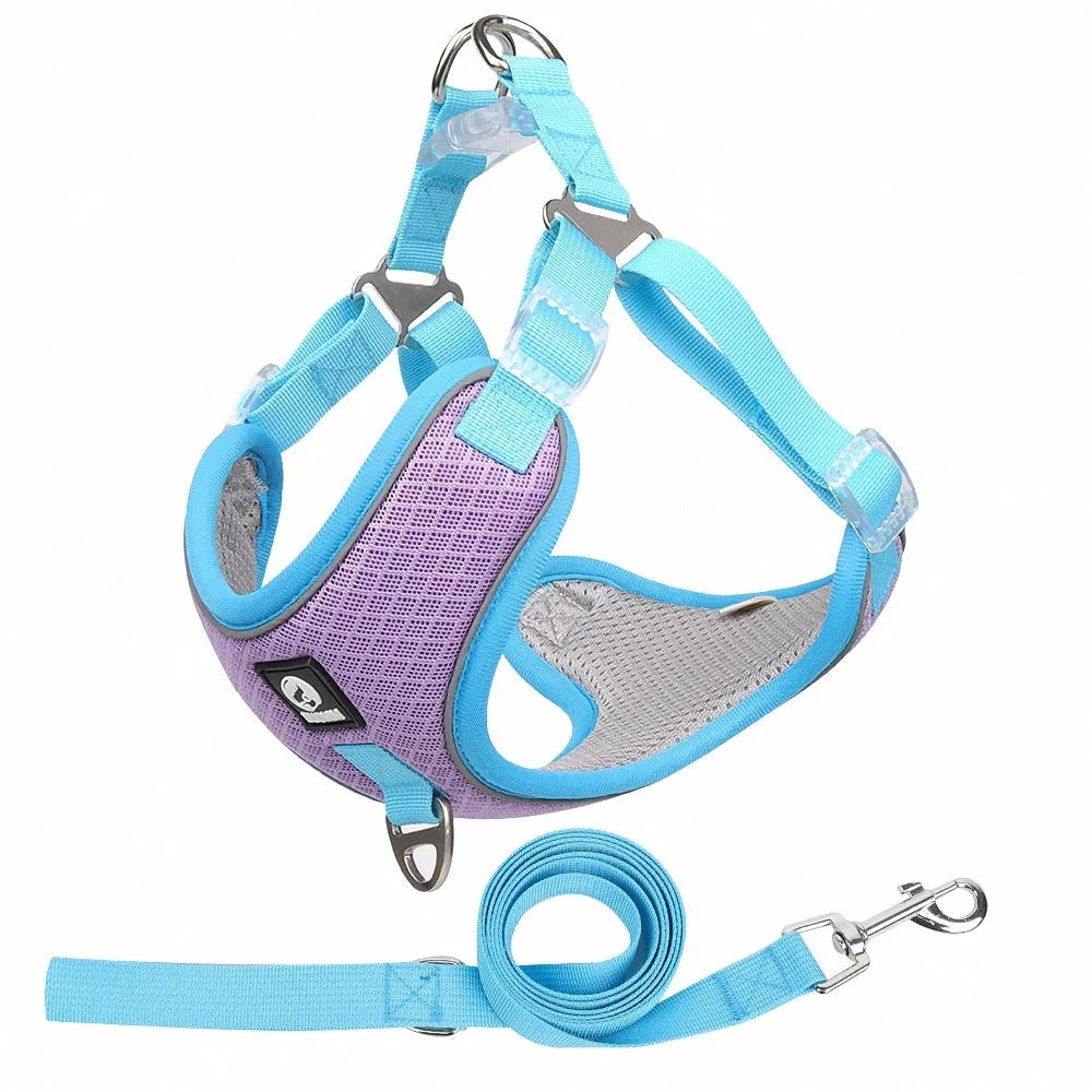Breathable mesh dog harness with reflective piping in multiple colour options